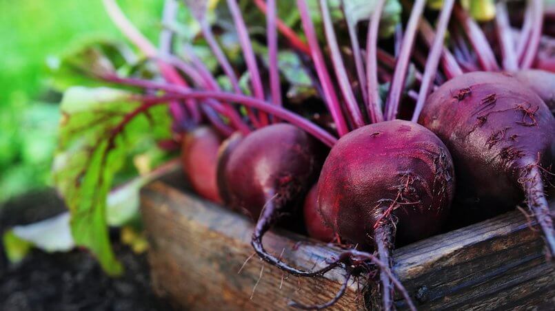 Lecker und gesund: Rote Bete (Foto: Ulada/Shutterstock.com)
